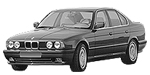 BMW E34 B25C8 Fault Code